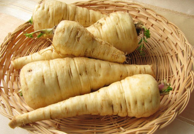 Parsnip (vegetable): useful properties and contraindications