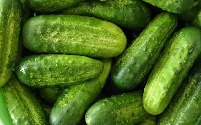 Parthenocarpic cucumbers: varieties and features