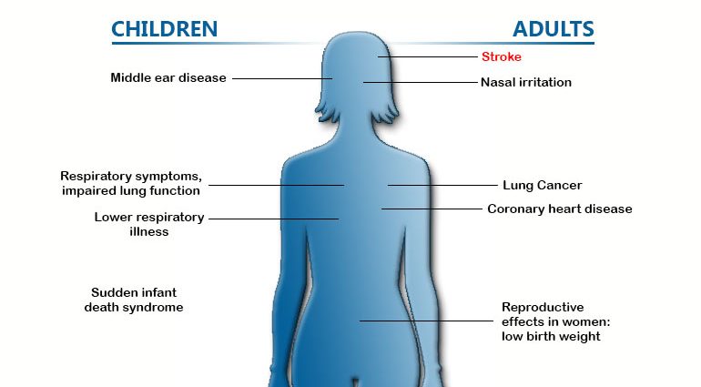 Passive smoking causes weight gain