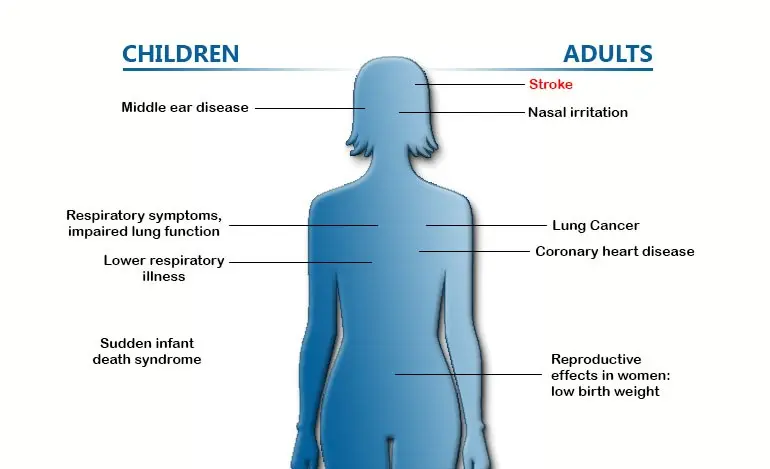 Passive smoking causes weight gain