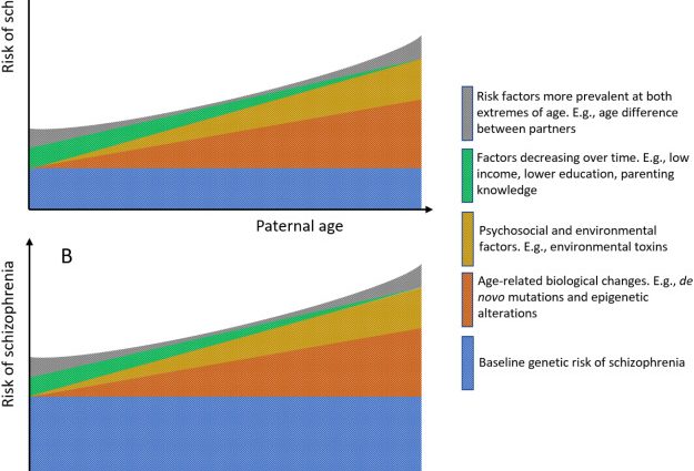 Paternal age may be related to the child&#8217;s risk of schizophrenia