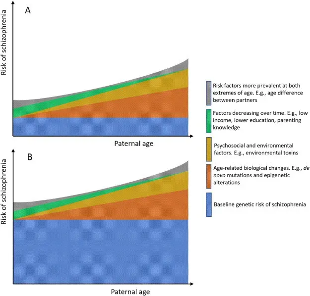 Paternal age may be related to the child&#8217;s risk of schizophrenia