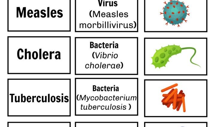 Pathogen &#8211; what is it? Viral pathogens, bacterial pathogens and diseases caused by them