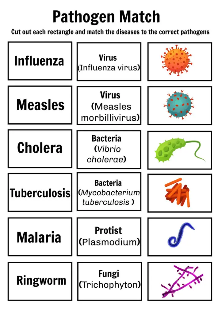 pathogen-what-is-it-viral-pathogens-bacterial-pathogens-and