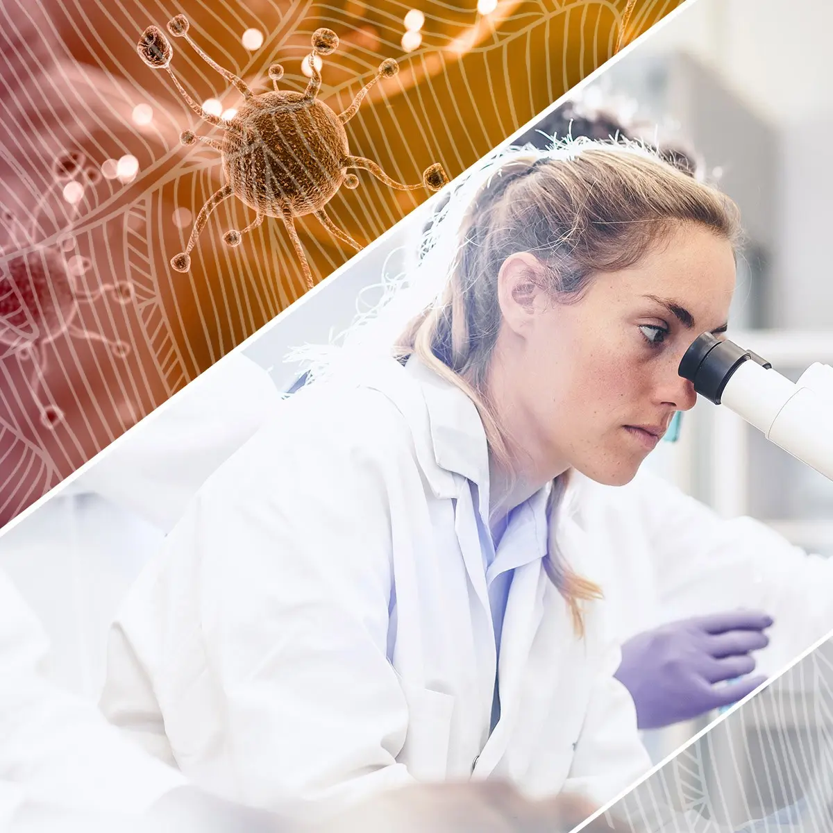 Pathologist &#8211; what does he do? When is it worth visiting?