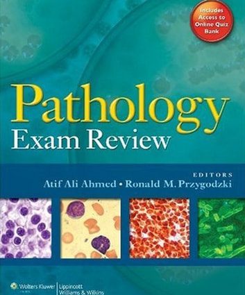 Pathomorphology &#8211; what is the examination about?