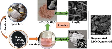 Pchelodar Cobalt: instructions for use