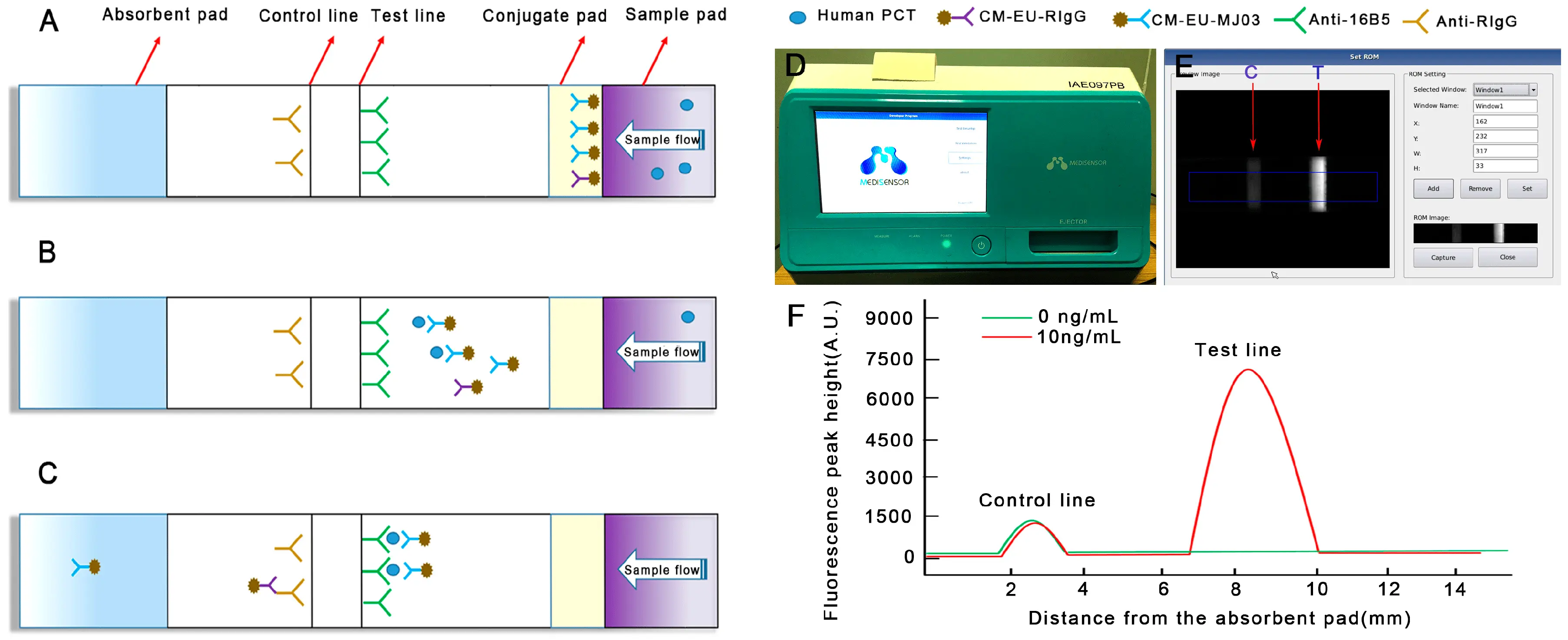 PCT morphology (procalcitonin) &#8211; what is the test and how to interpret the results?