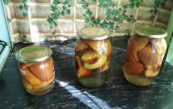 Peach compote for the winter