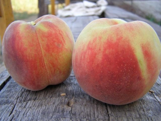 Peach Greensboro