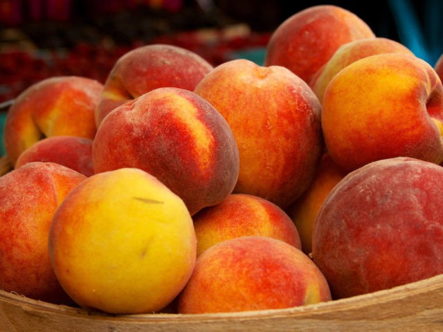 Peach Redhaven