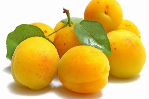 Peach variety Donetsk Yellow: characteristics, pros and cons