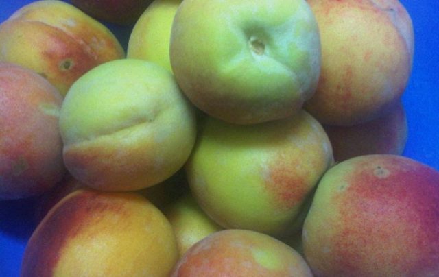 Peaches for the winter: golden recipes