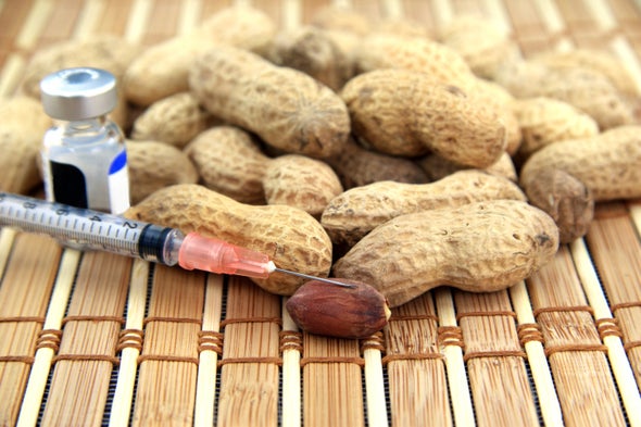 Peanuts that do not cause allergies