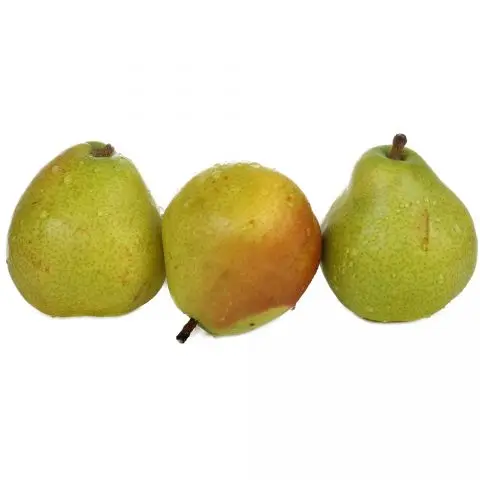 Pear Anjou: photo and description