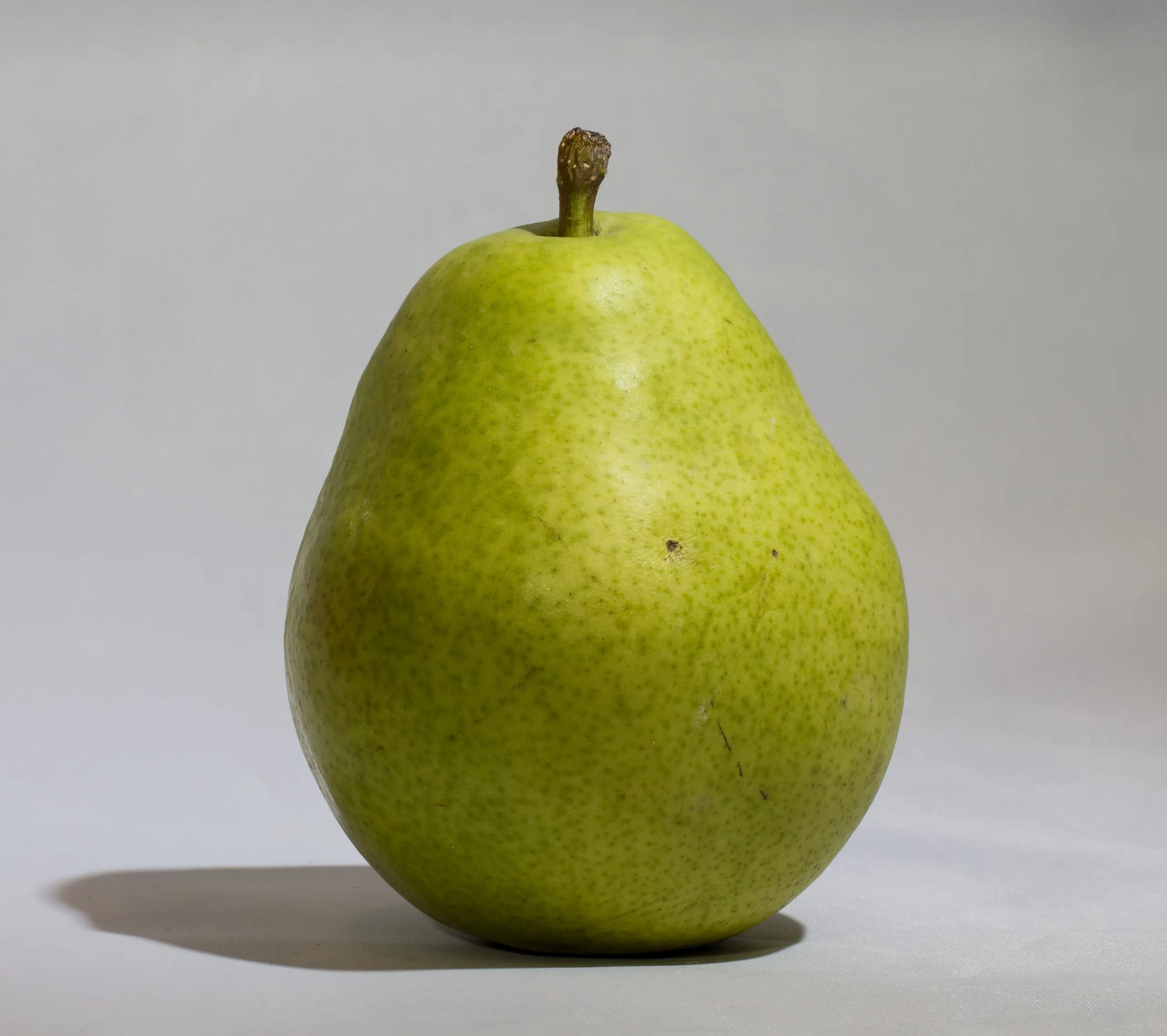 Pear Anjou: photo and description