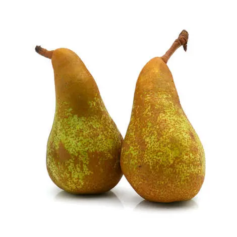 Pear Conference