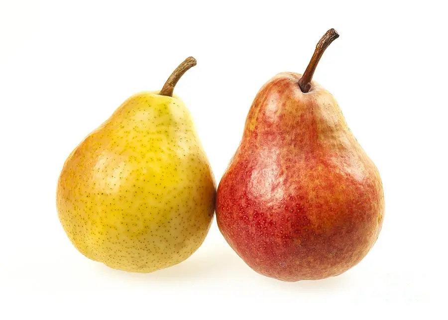 Pear Elena: description, photo, reviews