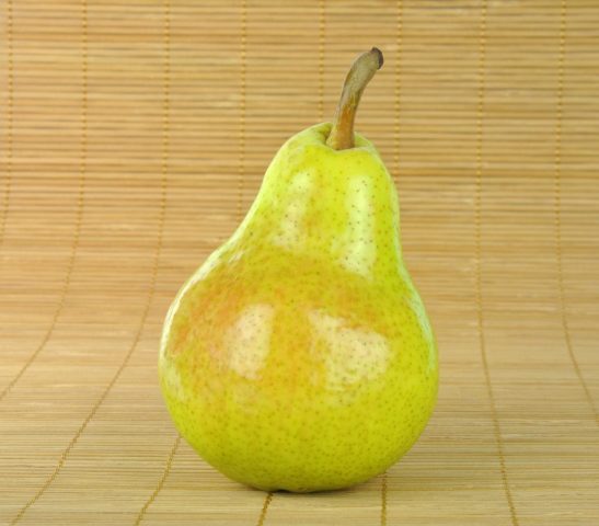 Pear Gera: description, photo, reviews