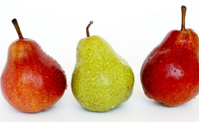 Pear: health benefits and harms