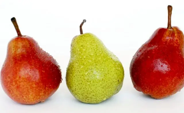 Pear: health benefits and harms