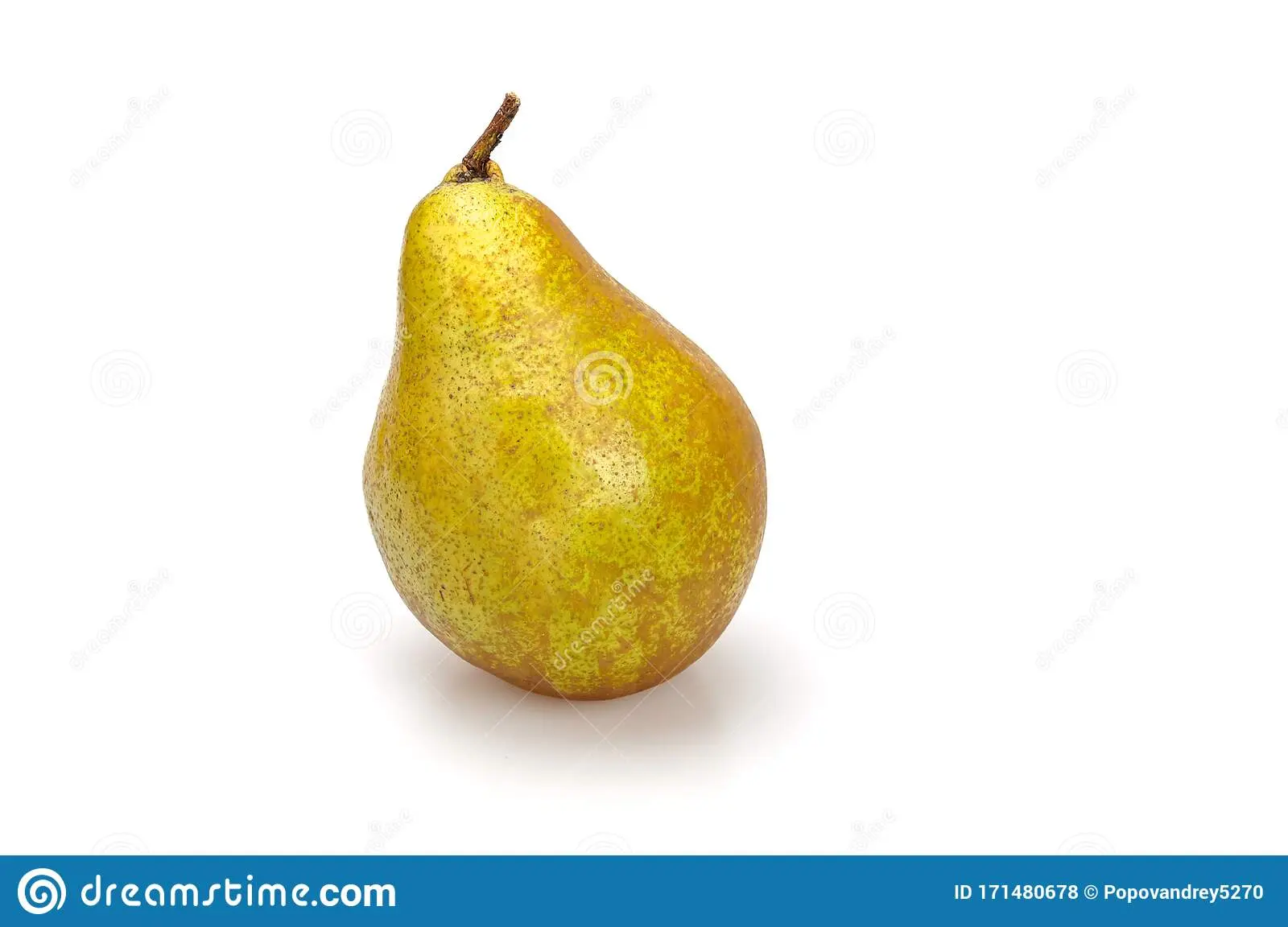 Pear November winter