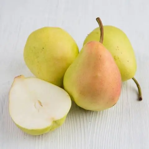 Pear Santa Maria