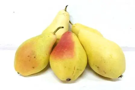 Pear Santa Maria