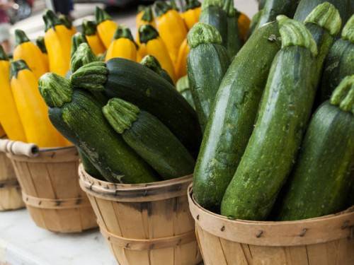 Pear-shaped zucchini