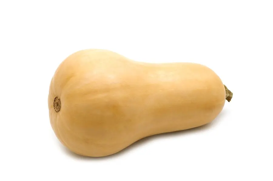 Pear-shaped zucchini