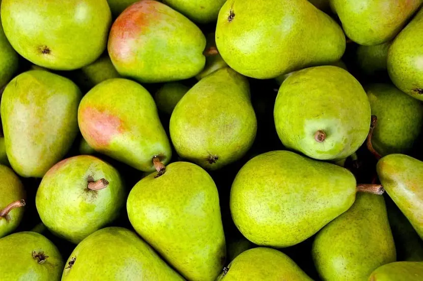 Pear Tauride: variety description