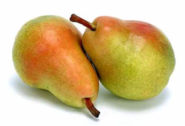 Pear varieties for the Moscow region: an overview of the most popular