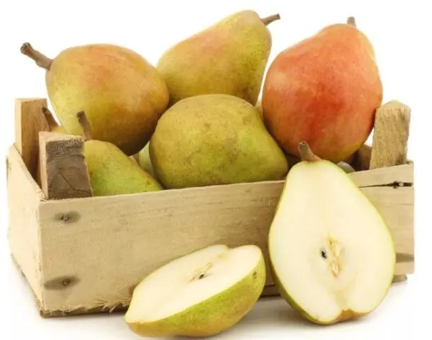 Pear variety Kokinskaya: description, photo, reviews