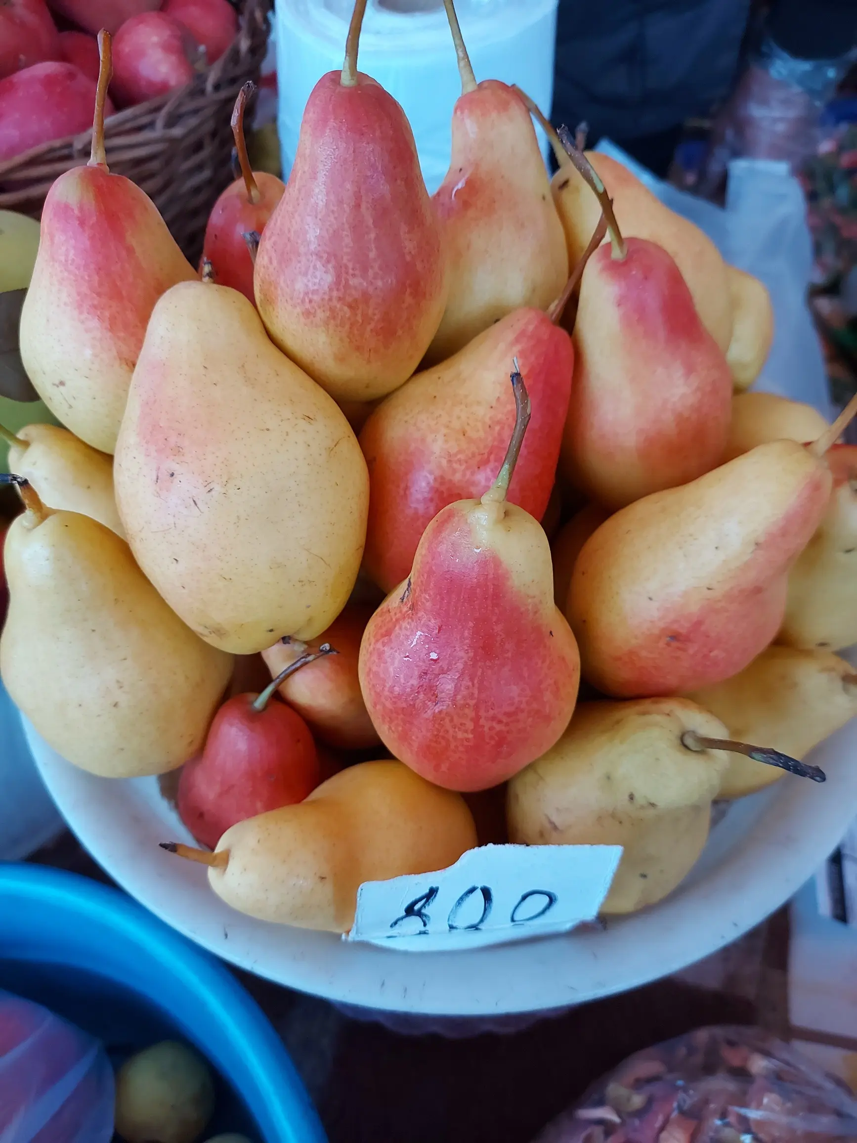 Pear variety Talgar beauty &#8211; description with photo