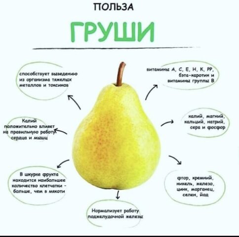 Pear variety Tatyana: photo and description