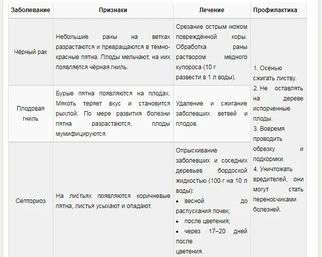 Pear Veles: breeding history, description and characteristics of the variety, advantages and disadvantages + cultivation features