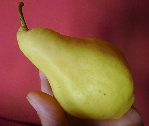 Pear Vidnaya