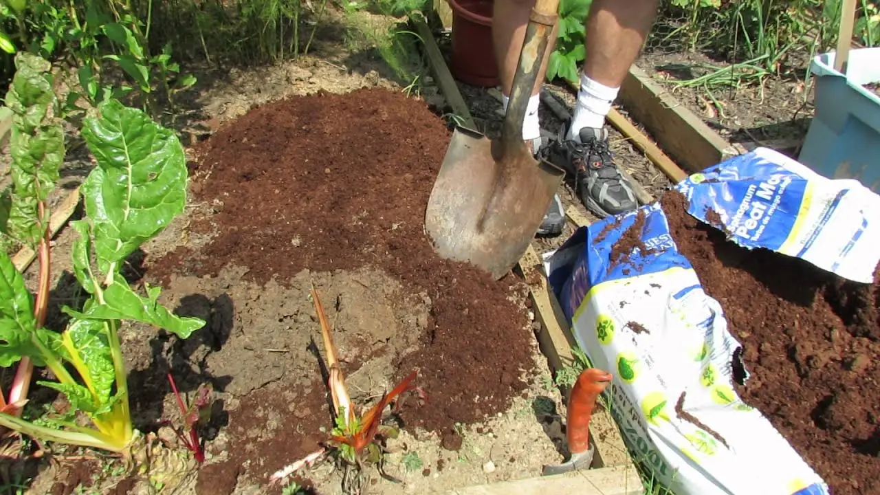 Peat oxidant: instructions for use in the garden and vegetable garden