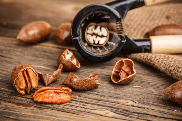 Pecan nut: benefits and harms