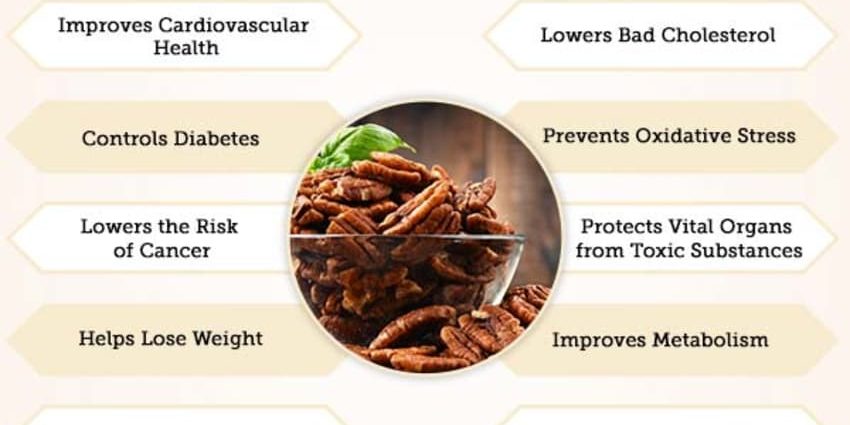 Pecan nut: benefits and harms