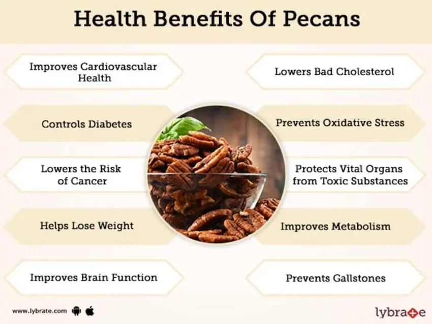 Pecan nut: benefits and harms