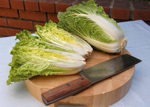 Peking cabbage from the stalk: growing at home