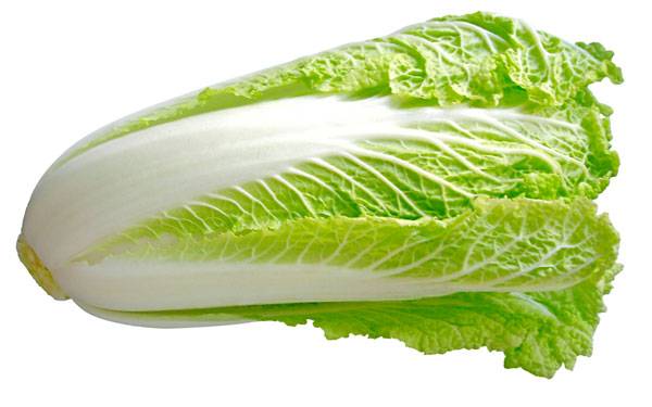 Peking cabbage varieties resistant to flowering