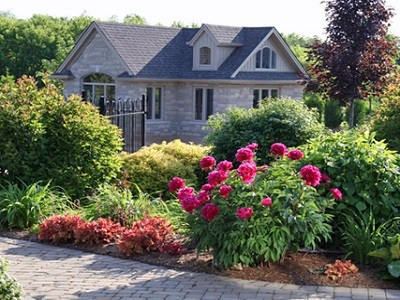 Peonies: what to plant next to, how to arrange flower beds, landscape tricks