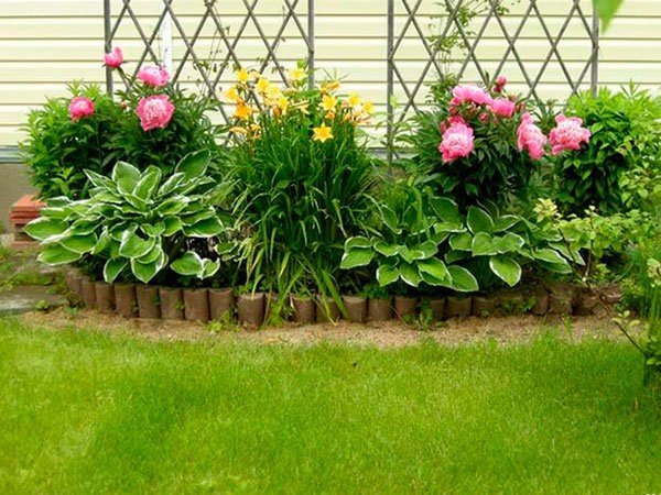 Peonies: what to plant next to, how to arrange flower beds, landscape tricks