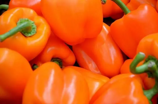 Pepper Big Mama: characteristics and description of the variety