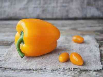 Pepper Big Mama: characteristics and description of the variety