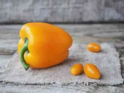 Pepper Big Mama: characteristics and description of the variety