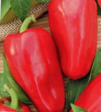 Pepper Flight: characteristics and description of the variety