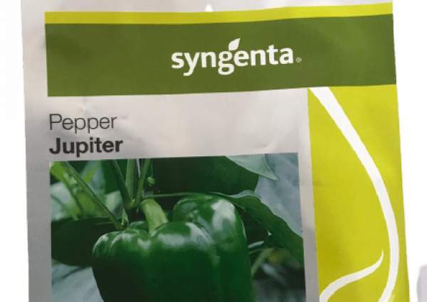 Pepper Jupiter F1